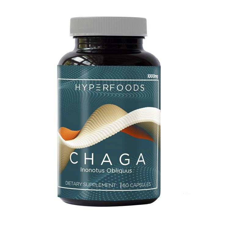 CHAGA (INONOTUS OBLIQUUS) ORGÁNICO - FRASCO X 1000 MG X 60 CÁPSULAS